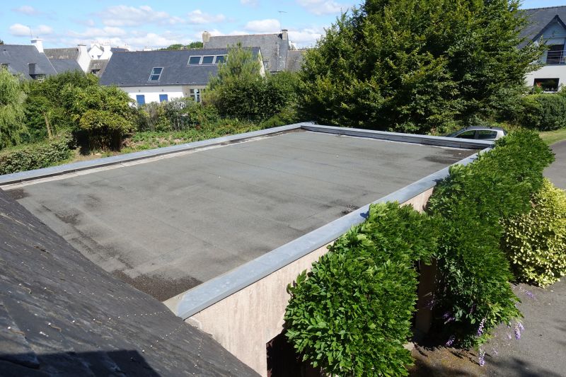 Asphalt Roof Leak Repair detail